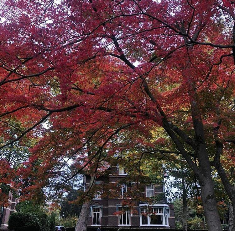 B&B Villa Anna, Venlo Bagian luar foto